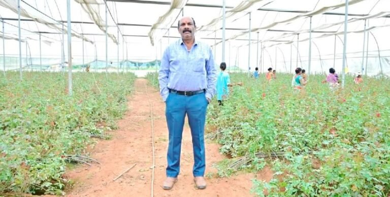 गुलाब की खुशबू से महकी किसान विकास श्रीवास्तव की किस्मत, 8 लाख की कमाई से बने मिसाल