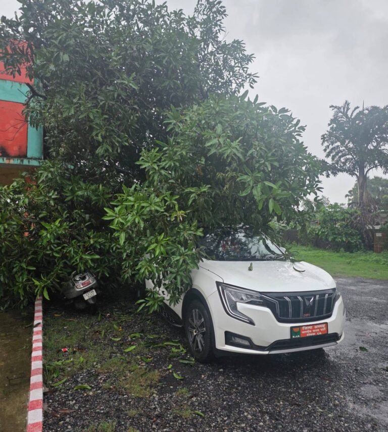 तेज बारिश के बीच बड़ा हादसा टला, भाजपा जिला अध्यक्ष संतोष गुप्ता की खड़ी गाड़ी पर गिरा पेड़
