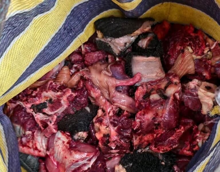 मारडूम में गौवंश हत्या का मामला, 16 संदिग्ध आरोपी हिरासत में,गौवंश हत्या से सनातन समाज की आस्था को पहुंची ठेस, पुलिस की त्वरित कार्रवाई सराहनीय : सोमारु कश्यप